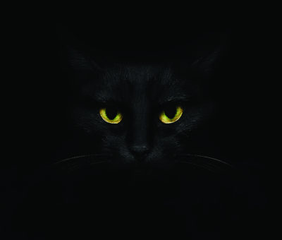 Miért van mindig fekete macska a boszorkányok mellett?