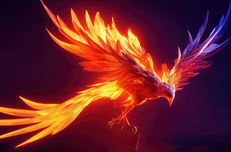 Burning bird